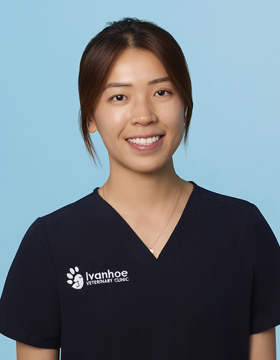 Dr Dannie Ng